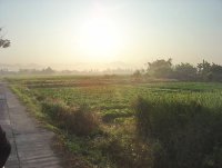 Organic farming